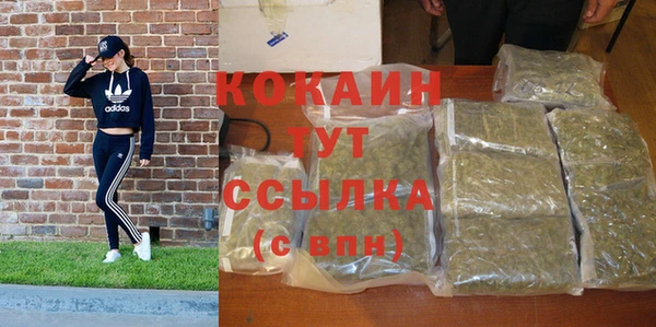 ешки Аркадак