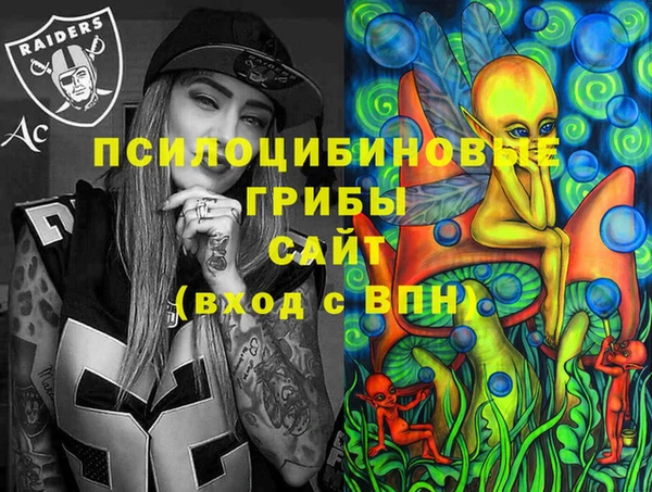 мдпв Армянск