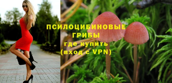 герыч Арсеньев