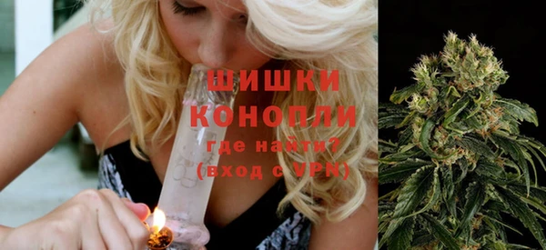ешки Аркадак