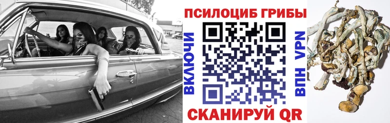 купить наркотики цена  Чайковский  Псилоцибиновые грибы Magic Shrooms 